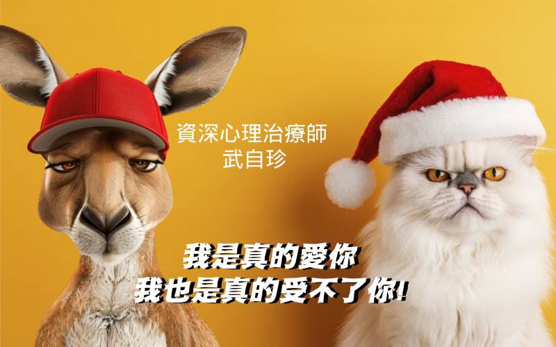 1/4真實的婚姻(標題圖檔)